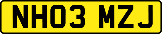 NH03MZJ