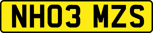 NH03MZS
