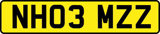 NH03MZZ