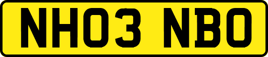NH03NBO