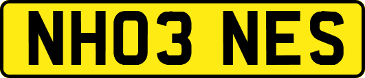 NH03NES