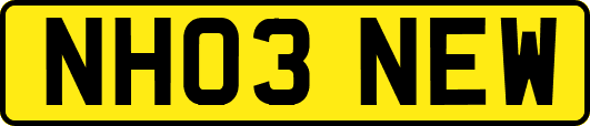 NH03NEW