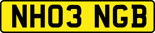 NH03NGB