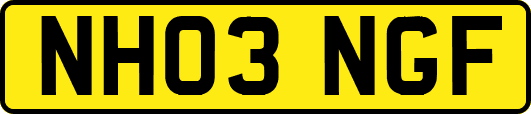 NH03NGF