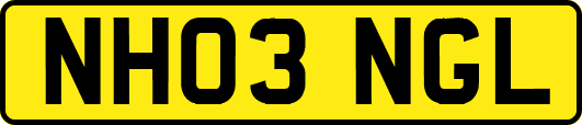 NH03NGL