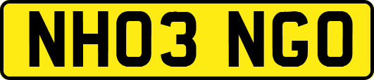 NH03NGO