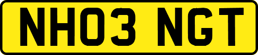 NH03NGT