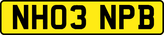 NH03NPB