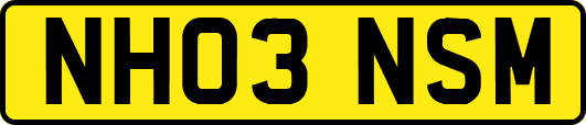 NH03NSM