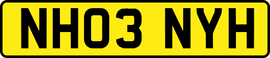 NH03NYH