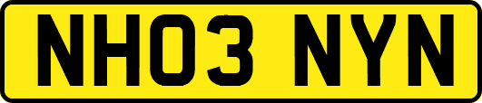 NH03NYN