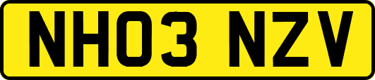 NH03NZV
