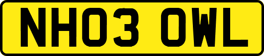 NH03OWL