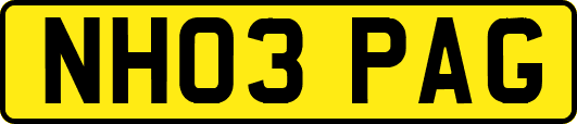 NH03PAG