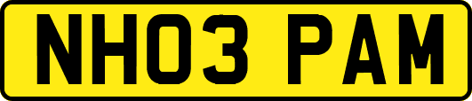 NH03PAM