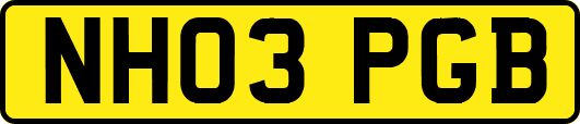 NH03PGB