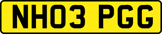 NH03PGG