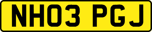 NH03PGJ