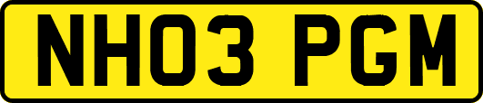 NH03PGM