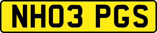 NH03PGS
