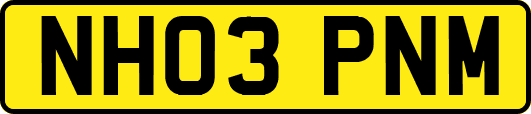 NH03PNM