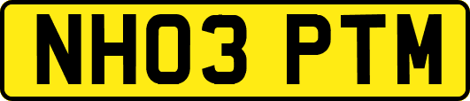 NH03PTM