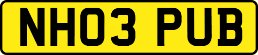 NH03PUB