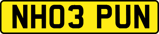 NH03PUN
