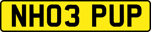 NH03PUP