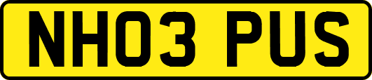 NH03PUS