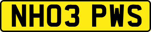 NH03PWS
