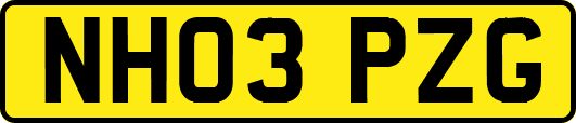 NH03PZG