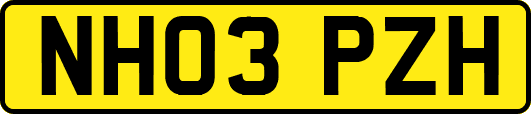 NH03PZH