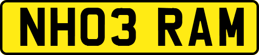 NH03RAM