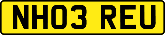 NH03REU