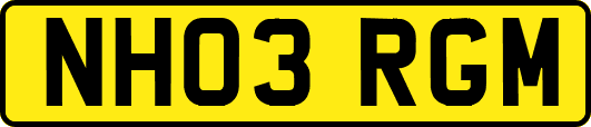 NH03RGM