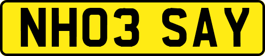 NH03SAY