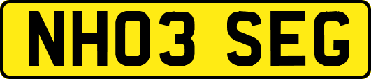 NH03SEG