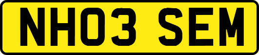 NH03SEM