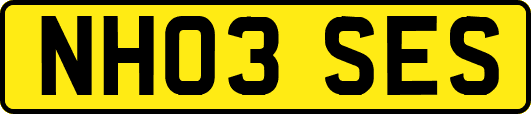 NH03SES