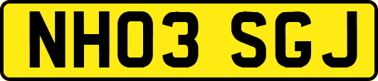 NH03SGJ
