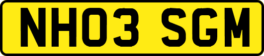 NH03SGM