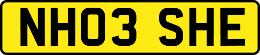 NH03SHE
