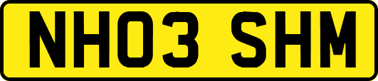 NH03SHM