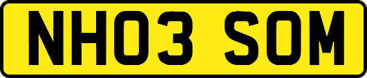 NH03SOM