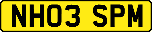 NH03SPM