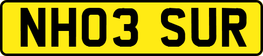 NH03SUR