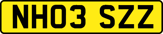 NH03SZZ