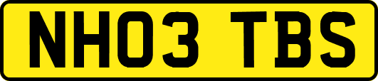 NH03TBS