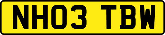 NH03TBW